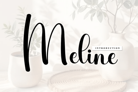 Meline: The Artisan Script for Modern Branding