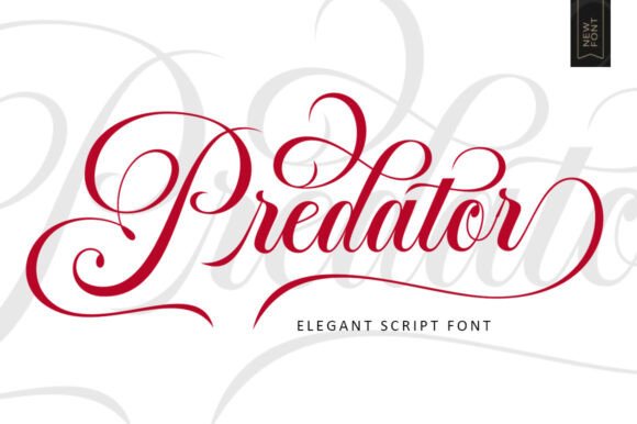 Refined Elegance: The Predator Script Typeface